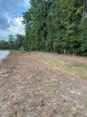 0 Tbd Little John Circle, Hockley, TX 77447