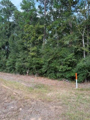 0 Tbd Little John Circle, Hockley, TX 77447