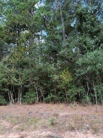 0 Tbd Little John Circle, Hockley, TX 77447