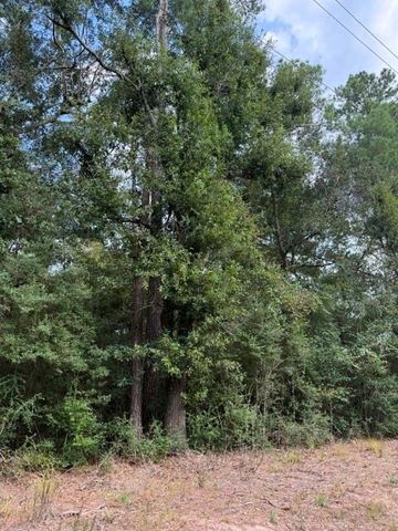 0 Tbd Little John Circle, Hockley, TX 77447
