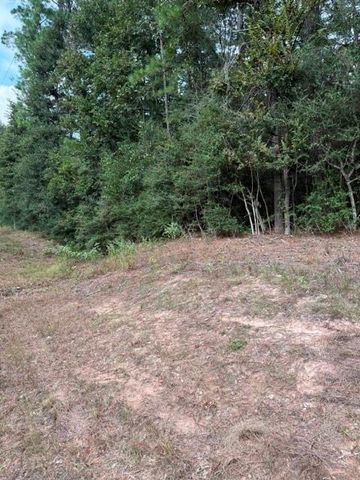 0 Tbd Little John Circle, Hockley, TX 77447