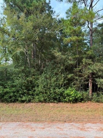 0 Tbd Little John Circle, Hockley, TX 77447