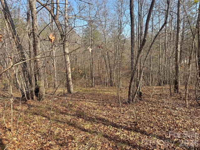 VL Amberwood Place 17, Rutherfordton, NC 28139