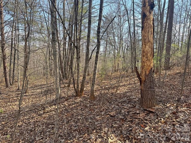 VL Amberwood Place 17, Rutherfordton, NC 28139