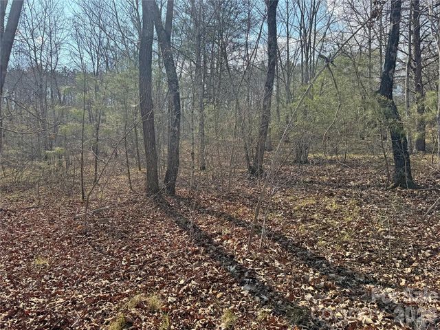VL Amberwood Place 17, Rutherfordton, NC 28139