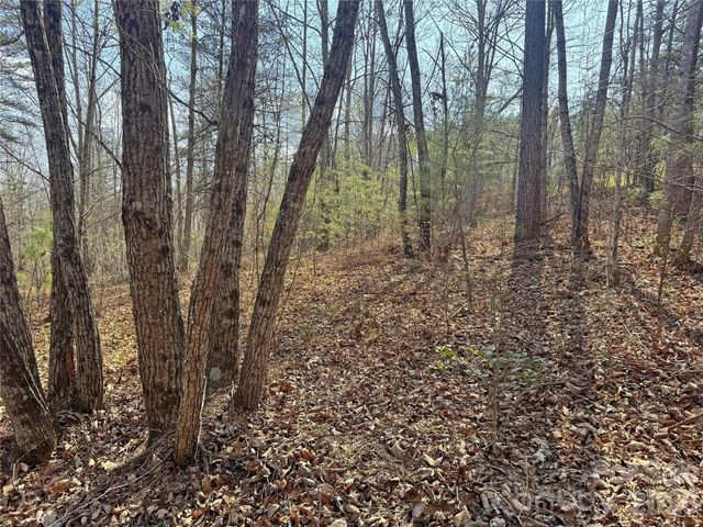 VL Amberwood Place 17, Rutherfordton, NC 28139