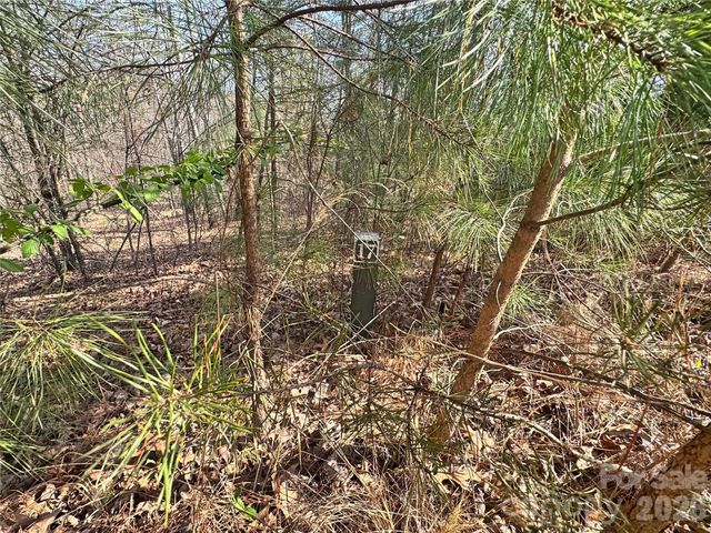 VL Amberwood Place 17, Rutherfordton, NC 28139