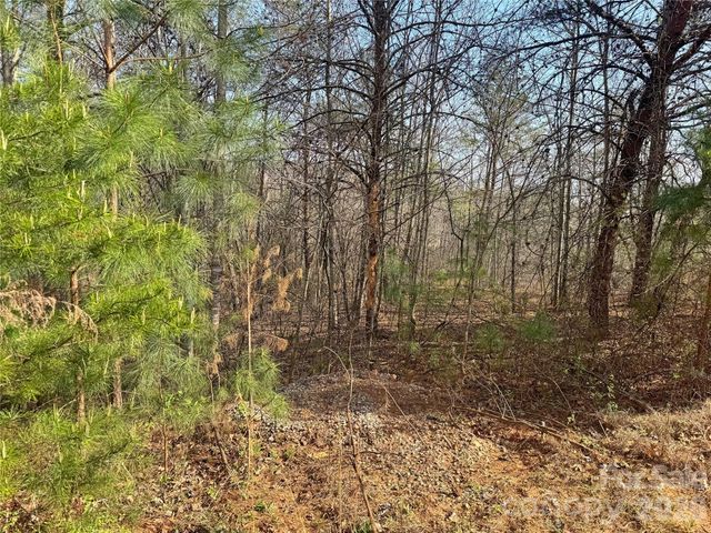 VL Amberwood Place 17, Rutherfordton, NC 28139