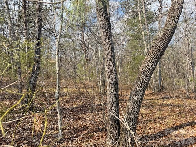 VL Amberwood Place 17, Rutherfordton, NC 28139