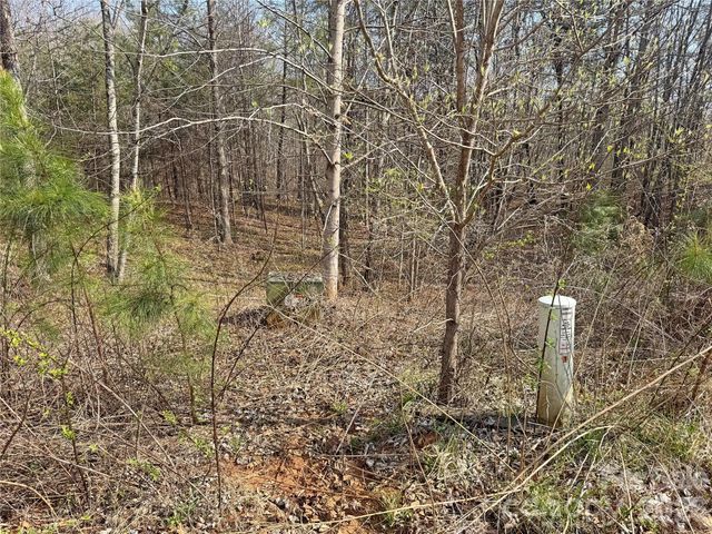 VL Amberwood Place 17, Rutherfordton, NC 28139