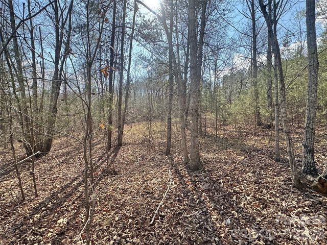 VL Amberwood Place 17, Rutherfordton, NC 28139