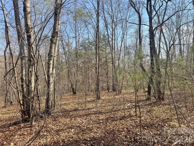 VL Amberwood Place 17, Rutherfordton, NC 28139