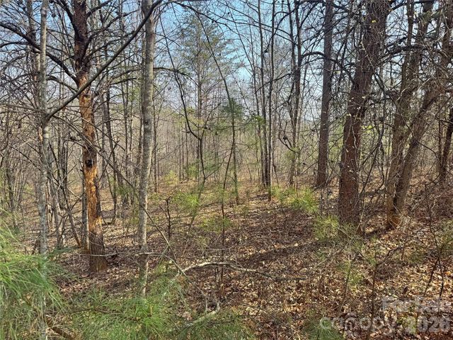 VL Amberwood Place 17, Rutherfordton, NC 28139