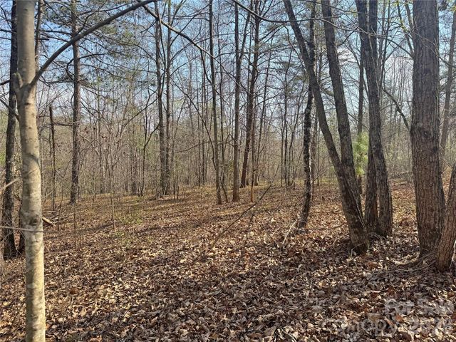 VL Amberwood Place 17, Rutherfordton, NC 28139