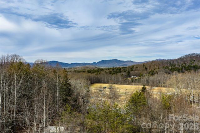 99999 Brush Creek Circle, Fairview, NC 28730