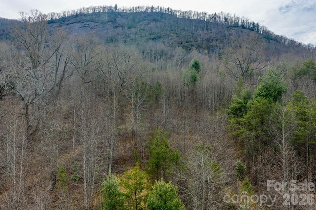 99999 Brush Creek Circle, Fairview, NC 28730