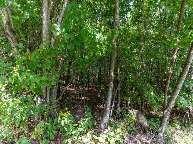 0 Deep Gap Farm Road W 2040, Mill Spring, NC 28756