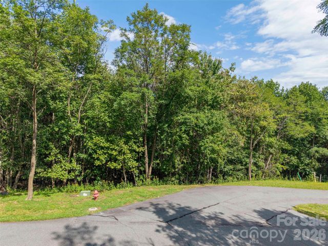 0 Deep Gap Farm Road W 2040, Mill Spring, NC 28756