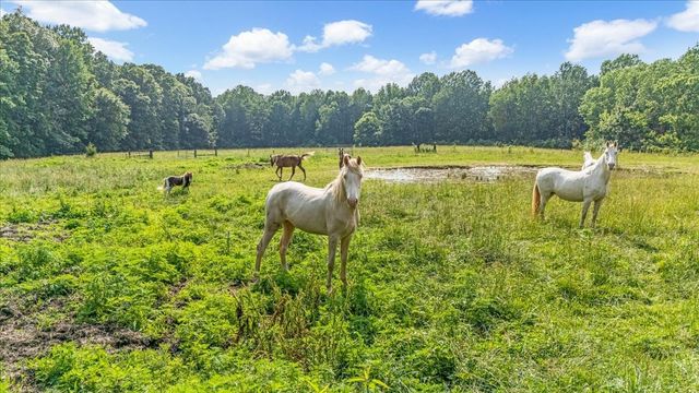 431 Jack Thomas Dr, Manchester, TN 37355