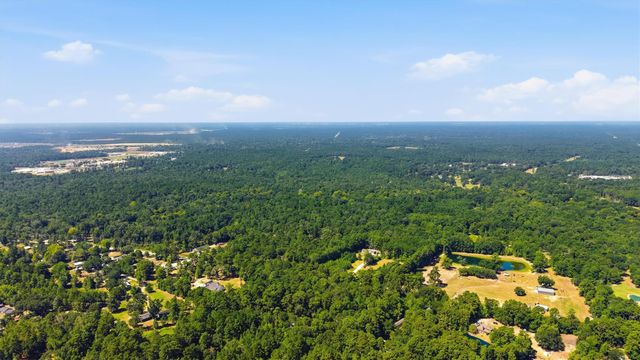 12259 Crockett Martin Road, Conroe, TX 77306