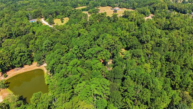12259 Crockett Martin Road, Conroe, TX 77306