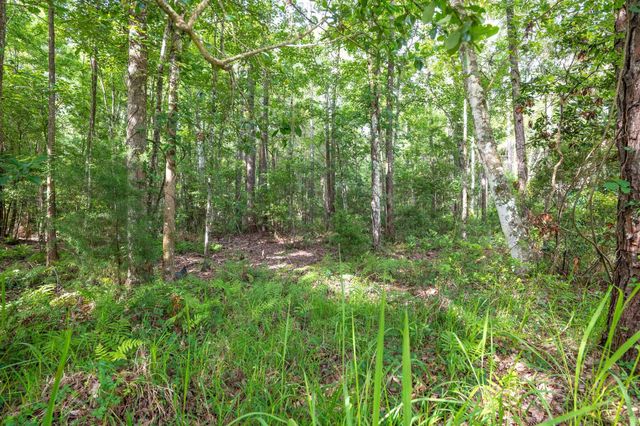 4945 Moultrie Reserve Ct, St Augustine, FL 32086
