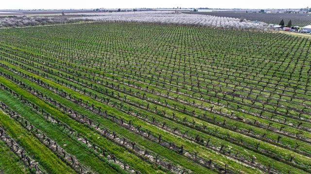 10690 S Henderson Road, Fresno, CA 93706