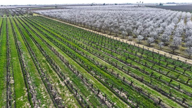 10690 S Henderson Road, Fresno, CA 93706