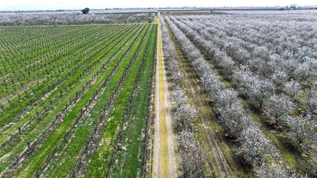 10690 S Henderson Road, Fresno, CA 93706