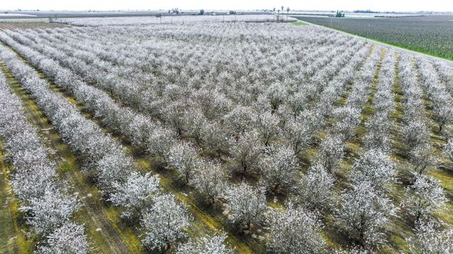 10690 S Henderson Road, Fresno, CA 93706