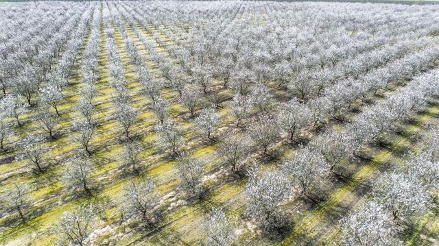 10690 S Henderson Road, Fresno, CA 93706