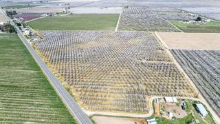 10690 S Henderson Road, Fresno, CA 93706