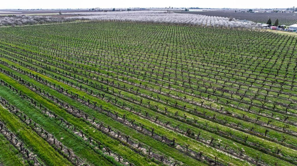 Image 17 of property listing at 10690 S Henderson Road, Fresno, CA 93706