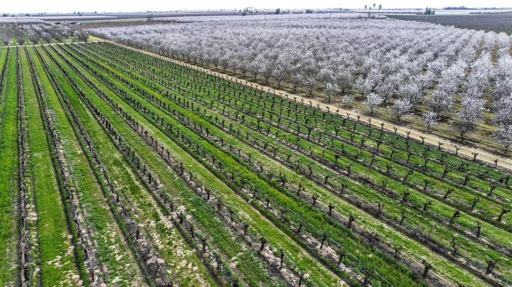 Image 18 of property listing at 10690 S Henderson Road, Fresno, CA 93706