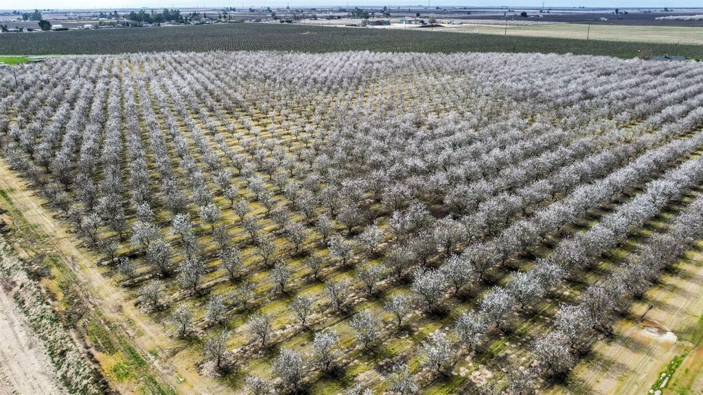 Image 8 of property listing at 10690 S Henderson Road, Fresno, CA 93706