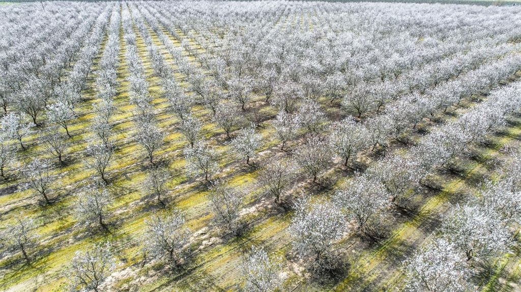 Image 9 of property listing at 10690 S Henderson Road, Fresno, CA 93706