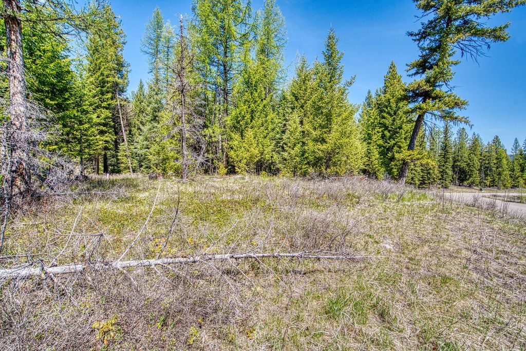 517 Haskill Ranch Road, Kila, MT 59920 photo 12