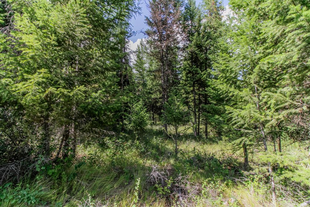 517 Haskill Ranch Road, Kila, MT 59920 photo 15