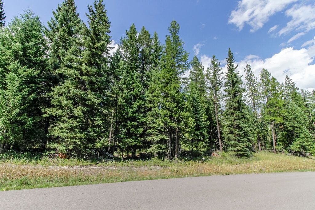 517 Haskill Ranch Road, Kila, MT 59920 photo 16