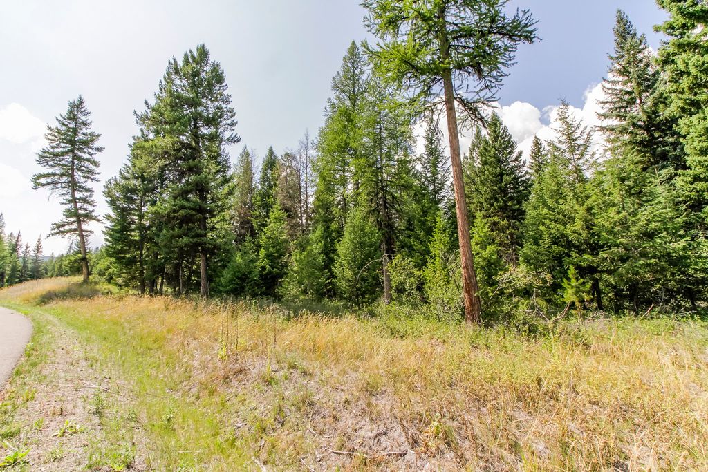 517 Haskill Ranch Road, Kila, MT 59920 photo 17