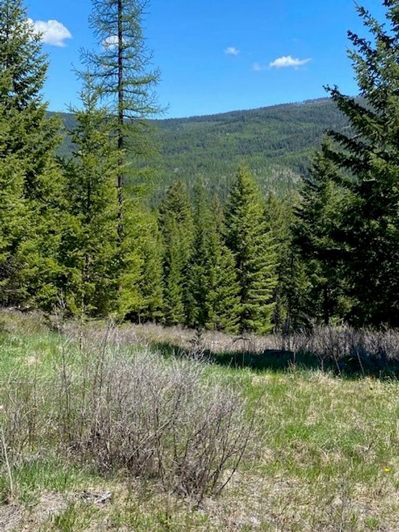 517 Haskill Ranch Road, Kila, MT 59920 photo 21