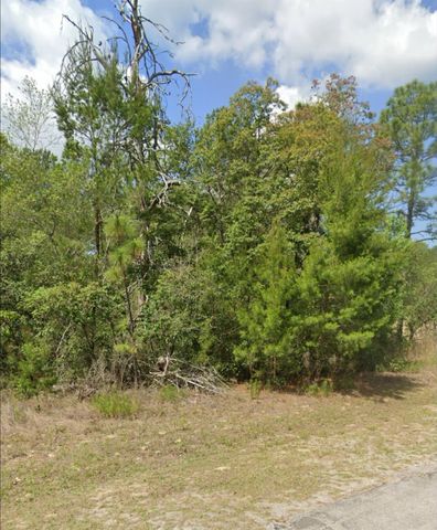 3808 W Indian Rock Pl, Citrus Springs, FL 34433