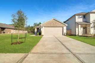 16675 Sterling Cliff Street, Conroe, TX 77302