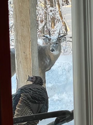 26088 Broadway Avenue, Detroit Lakes, MN 56501