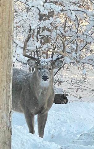 26088 Broadway Avenue, Detroit Lakes, MN 56501