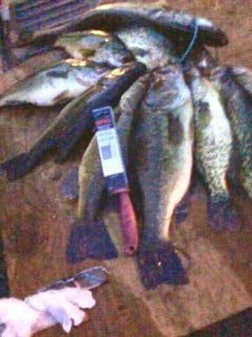 26088 Broadway Avenue, Detroit Lakes, MN 56501