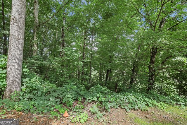 LOT G1 Waterfall Drive, Clayton, GA 30525
