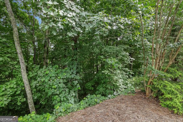 LOT G1 Waterfall Drive, Clayton, GA 30525
