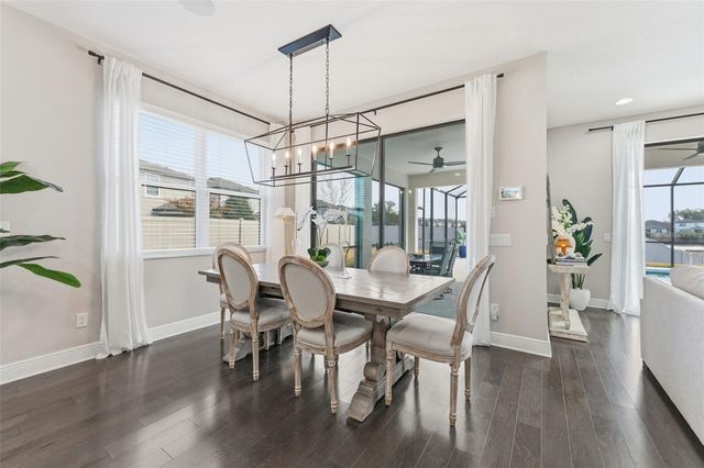 19484 BLOSSOM VINE LANE, Lutz, FL 33558