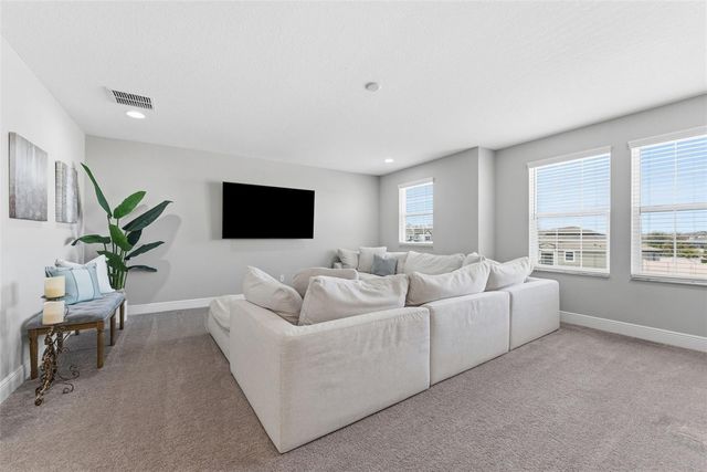 19484 BLOSSOM VINE LANE, Lutz, FL 33558